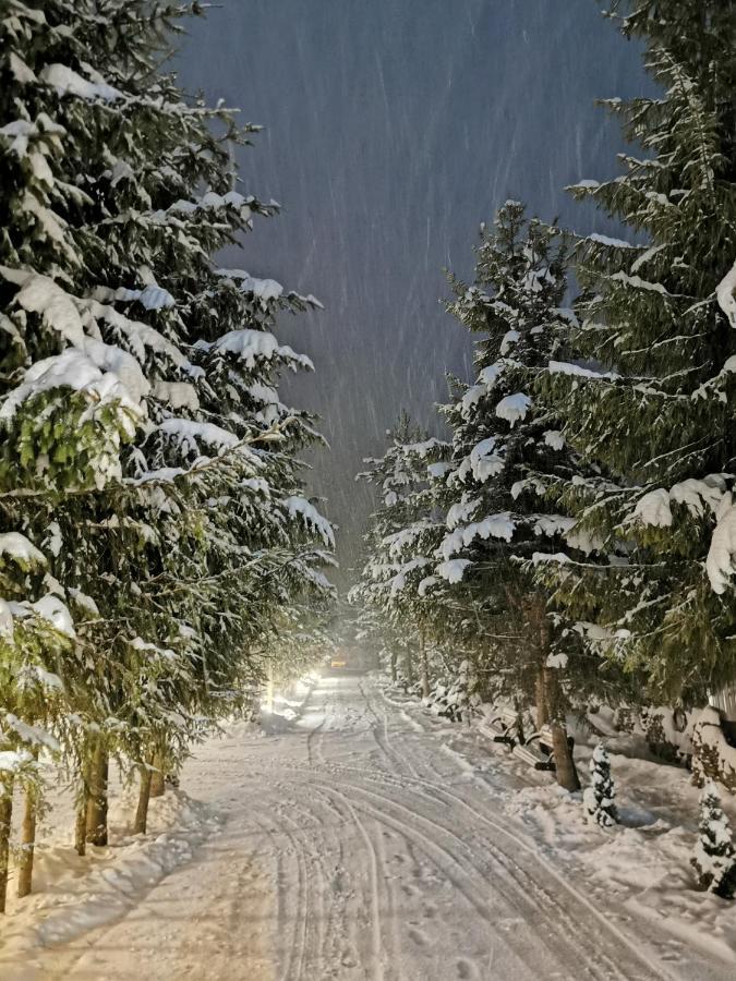 Popasul Lu' Voda Borşa Buitenkant foto